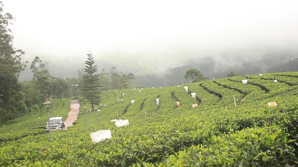 Orma Farm Resort Vagamon Exterior photo