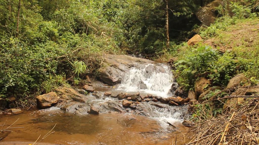 Orma Farm Resort Vagamon Exterior photo