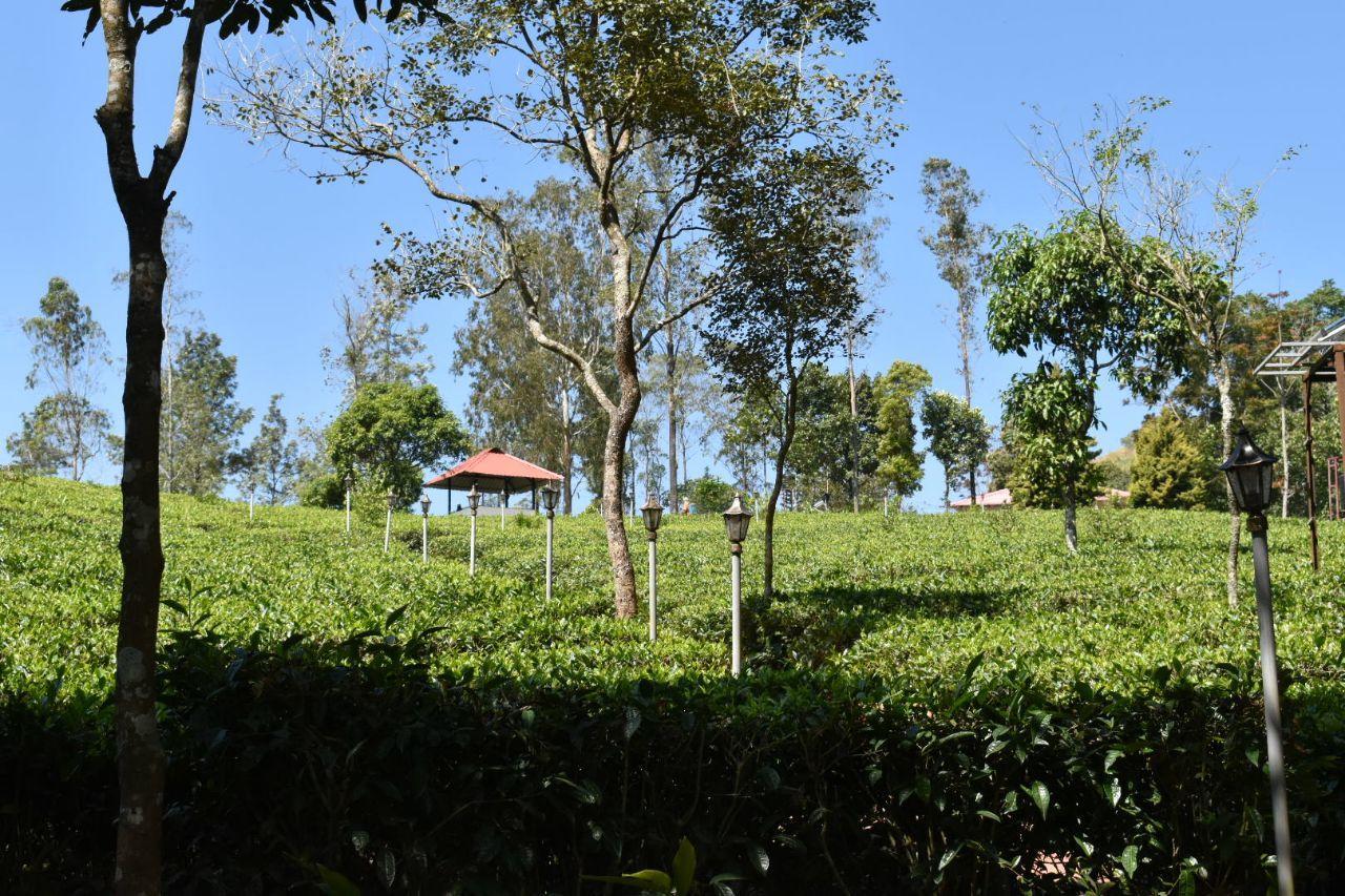 Orma Farm Resort Vagamon Exterior photo